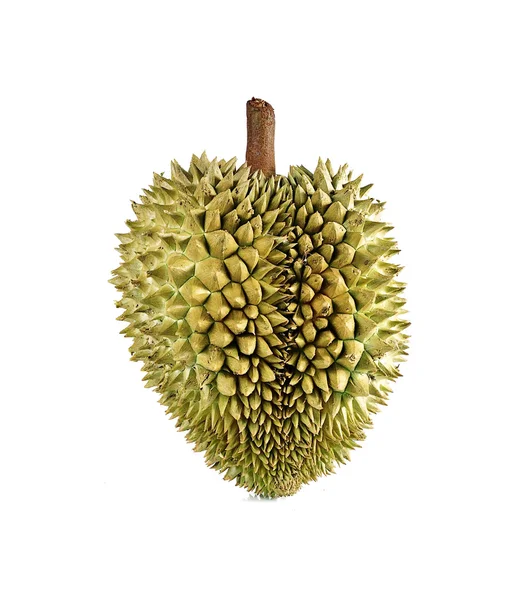 Durian primer plano aislado sobre fondo blanco . — Foto de Stock