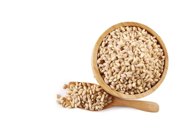 Parels van gerst graan zaad op achtergrond — Stockfoto