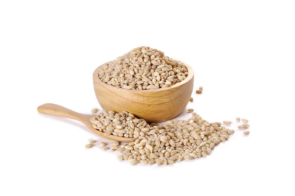 arpa buğday tohumu zemin üzerine inciler