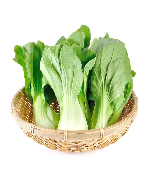 Mockpak choi isolated on white background — Stock Photo, Image