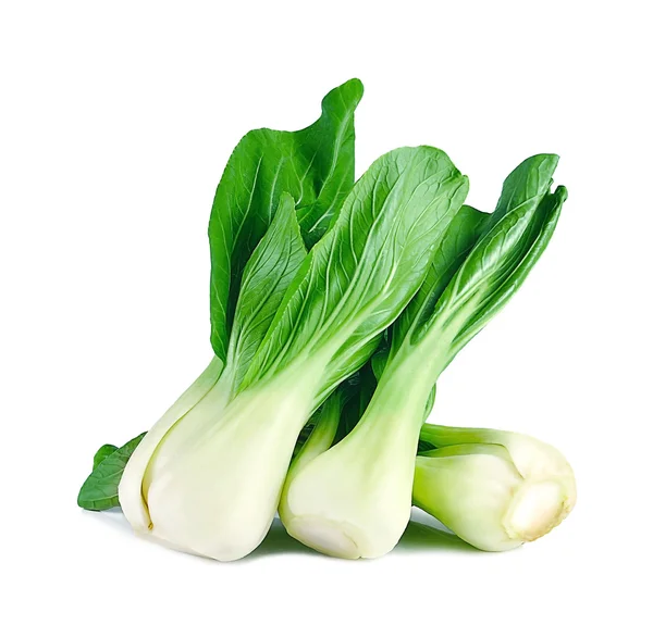 Mockpak choi isolato su sfondo bianco — Foto Stock