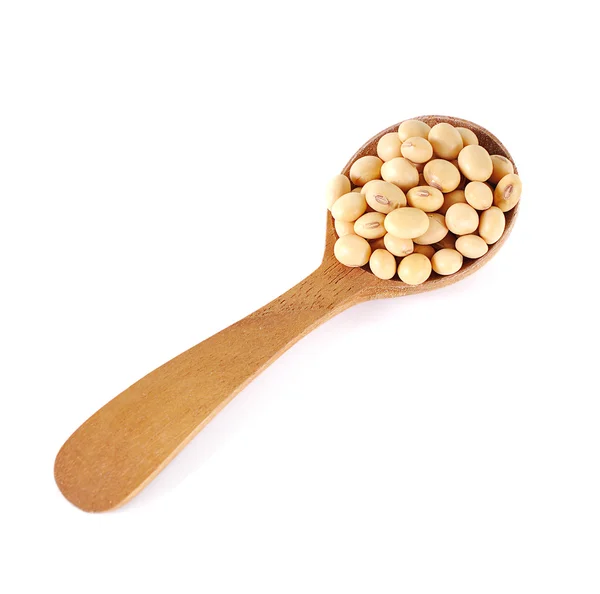 Oil and soybean on white background — Stock Photo, Image