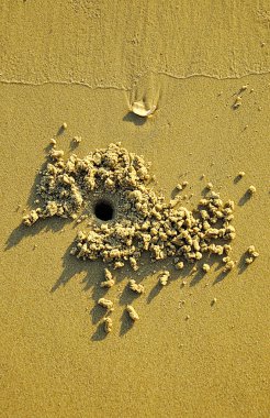 Kum ve plaj arka plan.