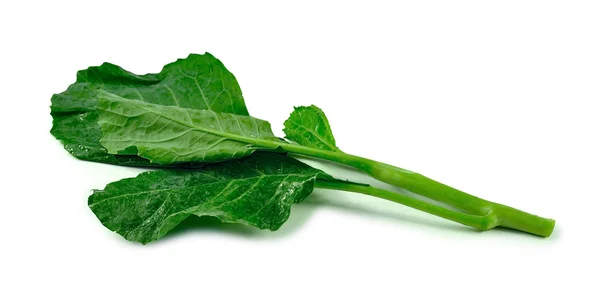 Chinese kale vegetable on white background — Stock Photo, Image