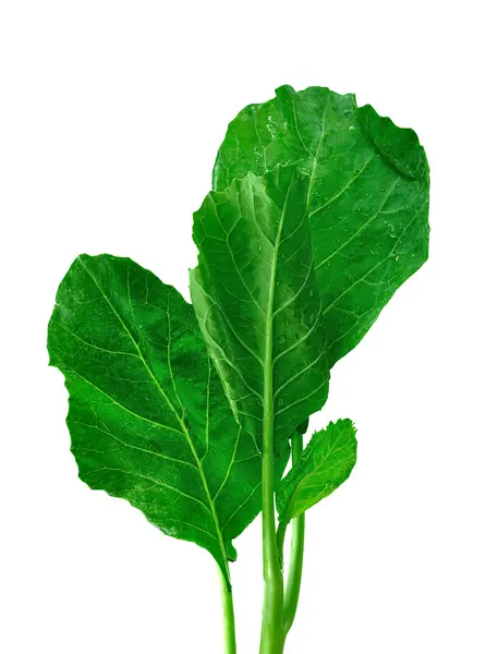 Chinese kale vegetable on white background — Stock Photo, Image