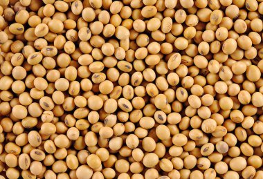 soya arka planı için