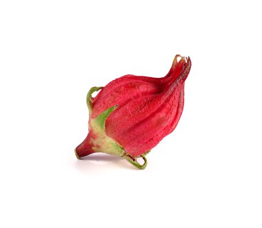 Roselle beyaz arkaplanda izole edildi