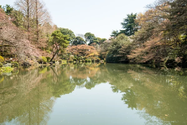 Água parada em Tokyo — Fotografia de Stock