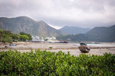 Yazın dalgaların çekildiği ıslak bir plajın manzarası.