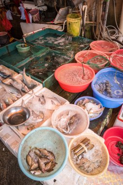Taze deniz ürünleri ve balıklar Çin sulak pazarında satışta.