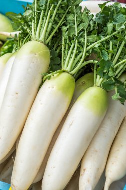 Daikon white Chinese root vegetable at the market clipart