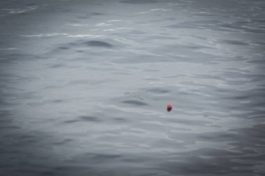 Bir yolcu gemisinin cankurtaranı.