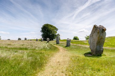Yaz aylarında bir alanda büyük antik taşlar