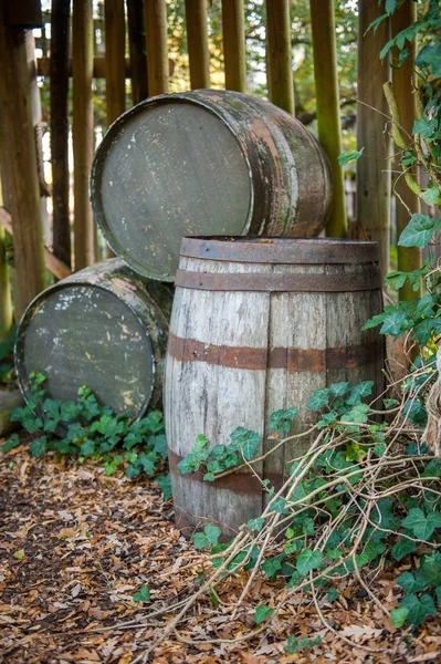 Una pila di vecchie botti di legno vintage — Foto Stock