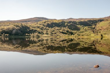 Suda yansıtılmış arazi