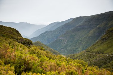 Dağın tepesinde Madeira