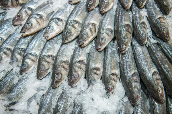 Buz üzerinde Gümüş Balık — Stok fotoğraf