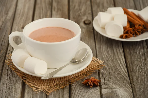 Chocolate quente com marshmallows e especiarias — Fotografia de Stock