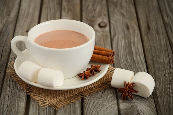 Cioccolata calda con marshmallow e spezie — Foto Stock