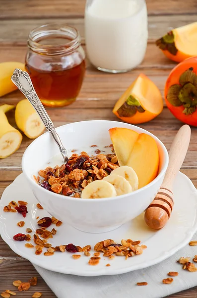 Hemmagjord müsli med nötter och torkade tranbär — Stockfoto