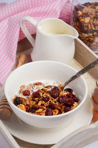 Hausgemachtes Müsli mit Nüssen und getrockneten Preiselbeeren mit Milch und Honig. — Stockfoto