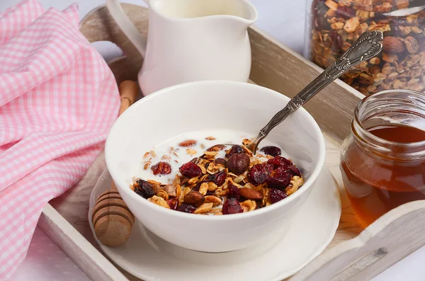 Σπιτικό granola με καρύδια και αποξηραμένα cranberries με γάλα και μέλι. — Φωτογραφία Αρχείου