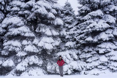 Litchfield Connecticut 'taki Topsmead Eyalet Ormanı' nda kar altında kırmızı ceketli bir kadın..