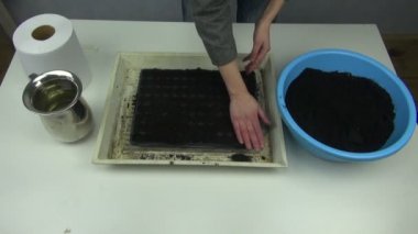 Ekim ve bu sulama için toprak hazırlama