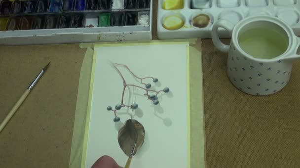Painting berries and leaf — Stock Video
