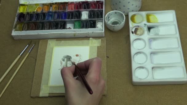 Process of painting mushroom and berries — Stock Video
