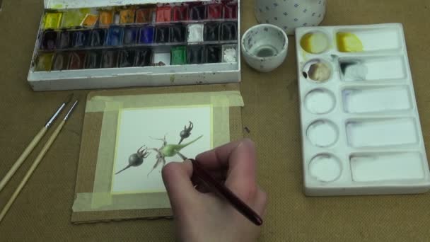 Folyamat, akvarell festészet csipkebogyó — Stock videók
