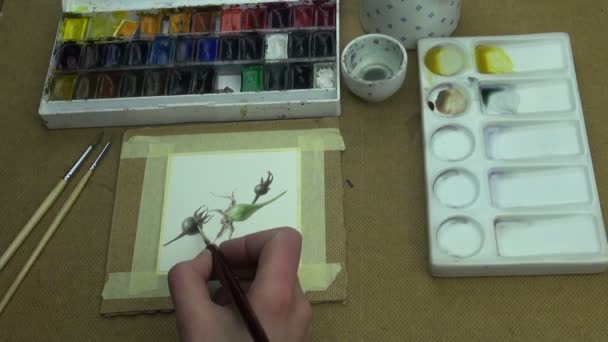 Process of painting rosehips — Stock Video