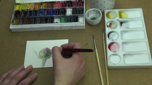 Process of painting peony bud — Stock Video