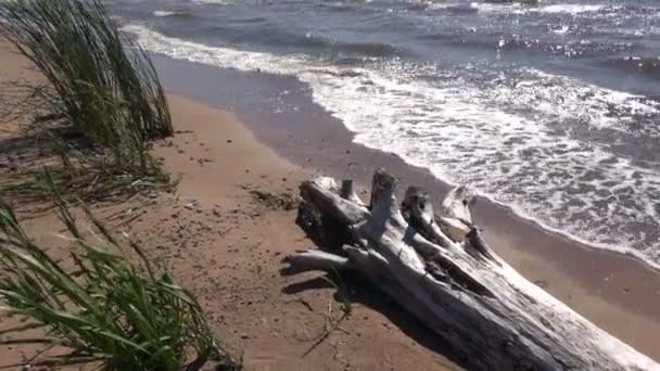 Wellen krachen in Nida auf Land — Stockvideo