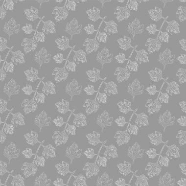 Beyaz dalları ve yaprakları taze maydanoz