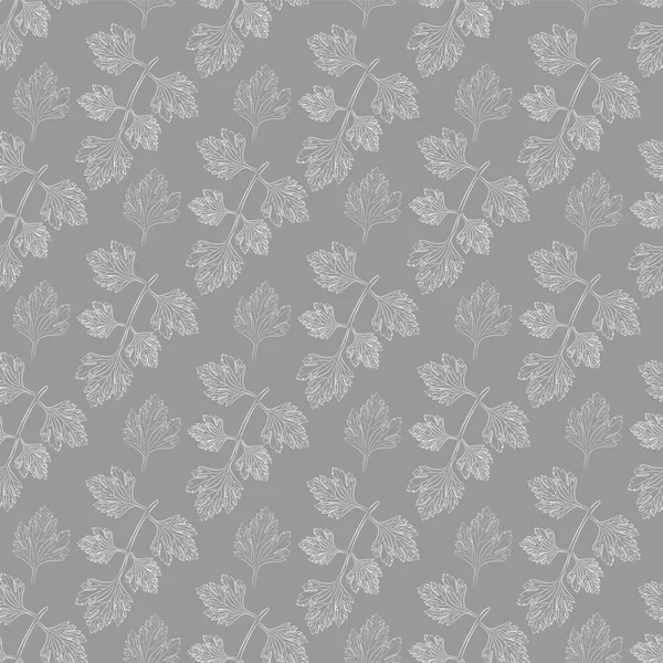 Beyaz dalları ve yaprakları taze maydanoz