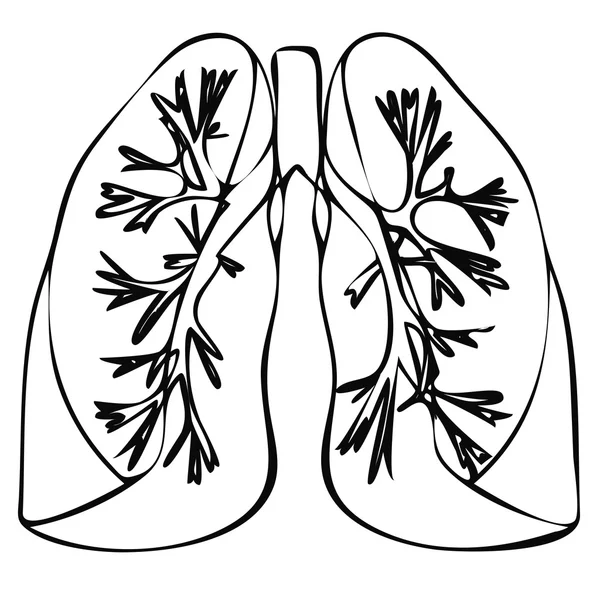 Lung flat style image — Stock Vector