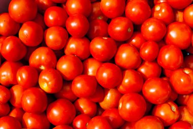  Yaz Tarım Çiftlik Pazar tepsisi organik domates tam.