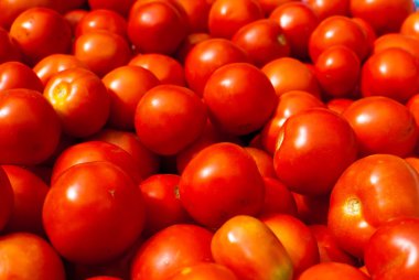 Lezzetli olgun sulu domates 