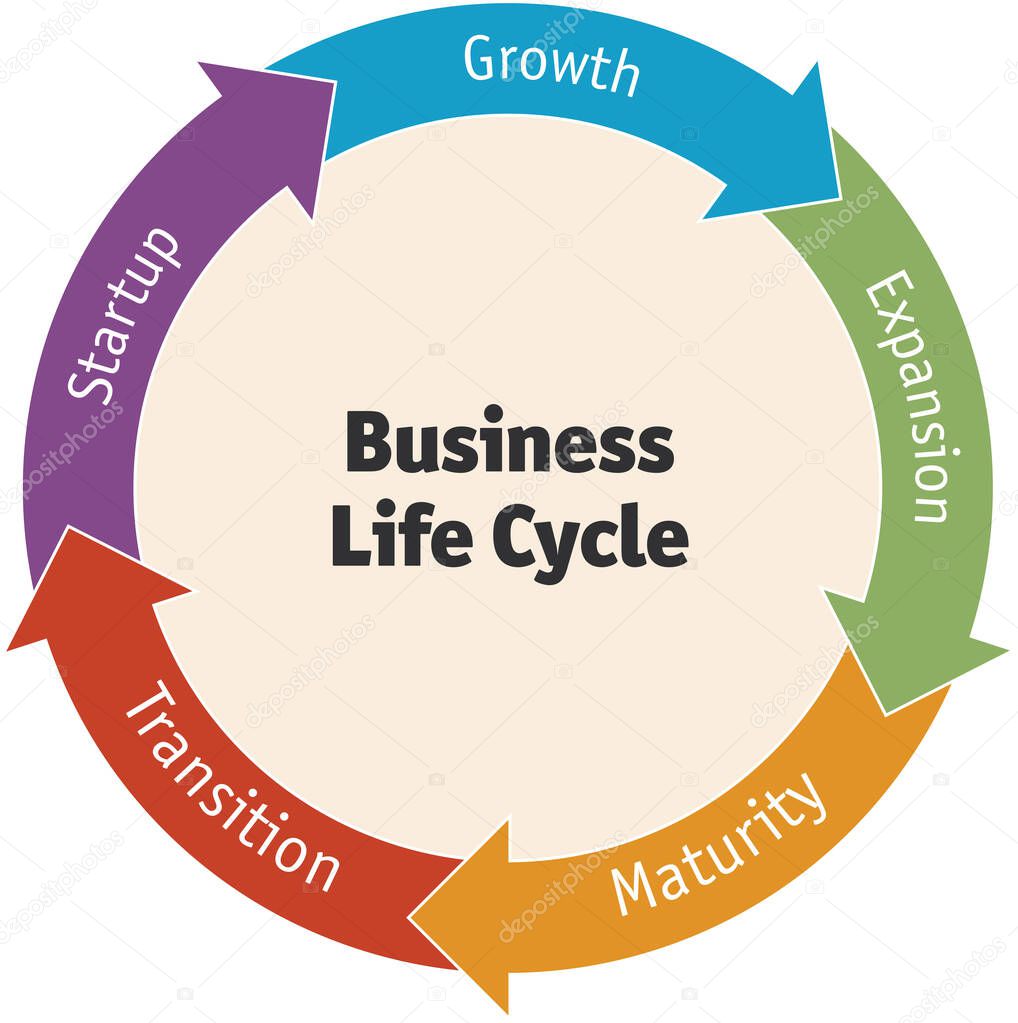 Diagram of the business life cycle