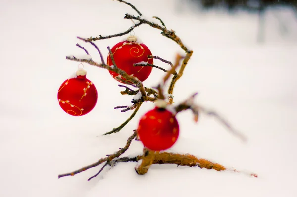 在雪地里的红色圣诞球 — 图库照片