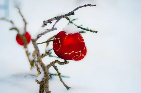 Czerwona świąteczna piłka w śniegu — Zdjęcie stockowe