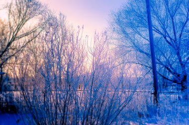 Bir Rus köyünde kış.