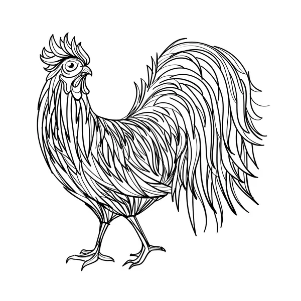 Illustrazione del gallo disegnato a mano . — Vettoriale Stock