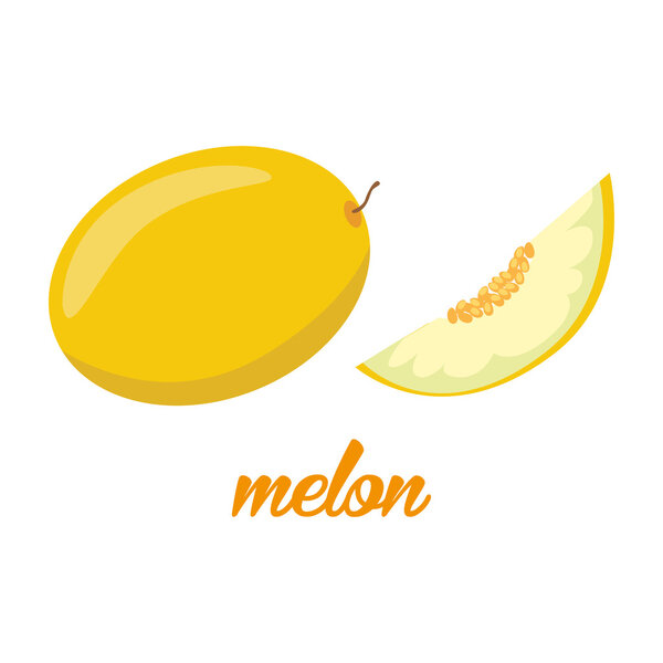 Melon fruits poster in cartoon style. depicting whole and half. fresh juicy. isolated on white background including caption