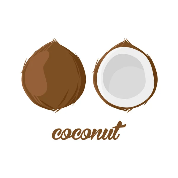 Cartaz de frutas de coco em estilo cartoon. retratando inteiro e metade. suculento fresco. isolado em fundo branco, incluindo legenda —  Vetores de Stock