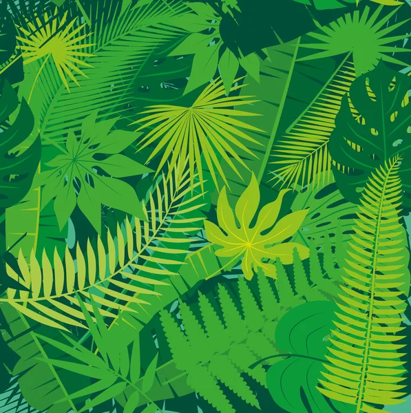 Hermoso fondo de patrón floral de selva tropical sin costuras con diferentes hojas de palma — Vector de stock