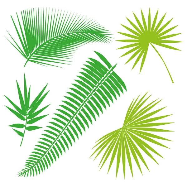 Tropische Blätter sammeln, isolieren Vektor. eingestellt — Stockvektor