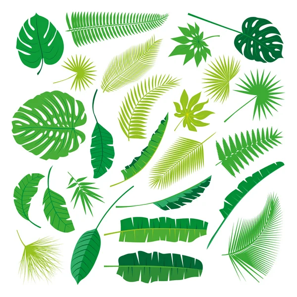 Tropical Leaves Collection, vector aislado. Conjunto grande — Vector de stock