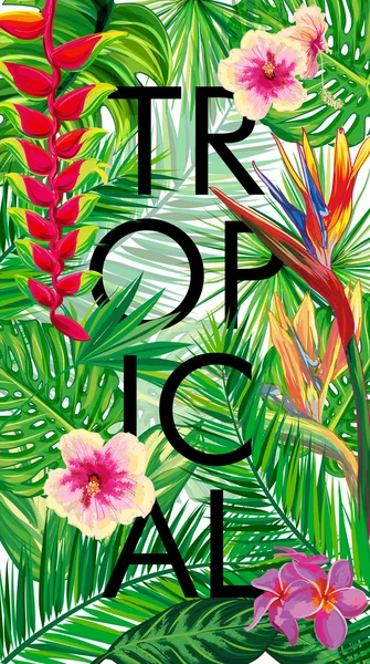Flores tropicales, hojas de palma, flores, tiras . — Vector de stock